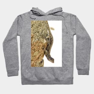 Yoga on the rocks Hoodie